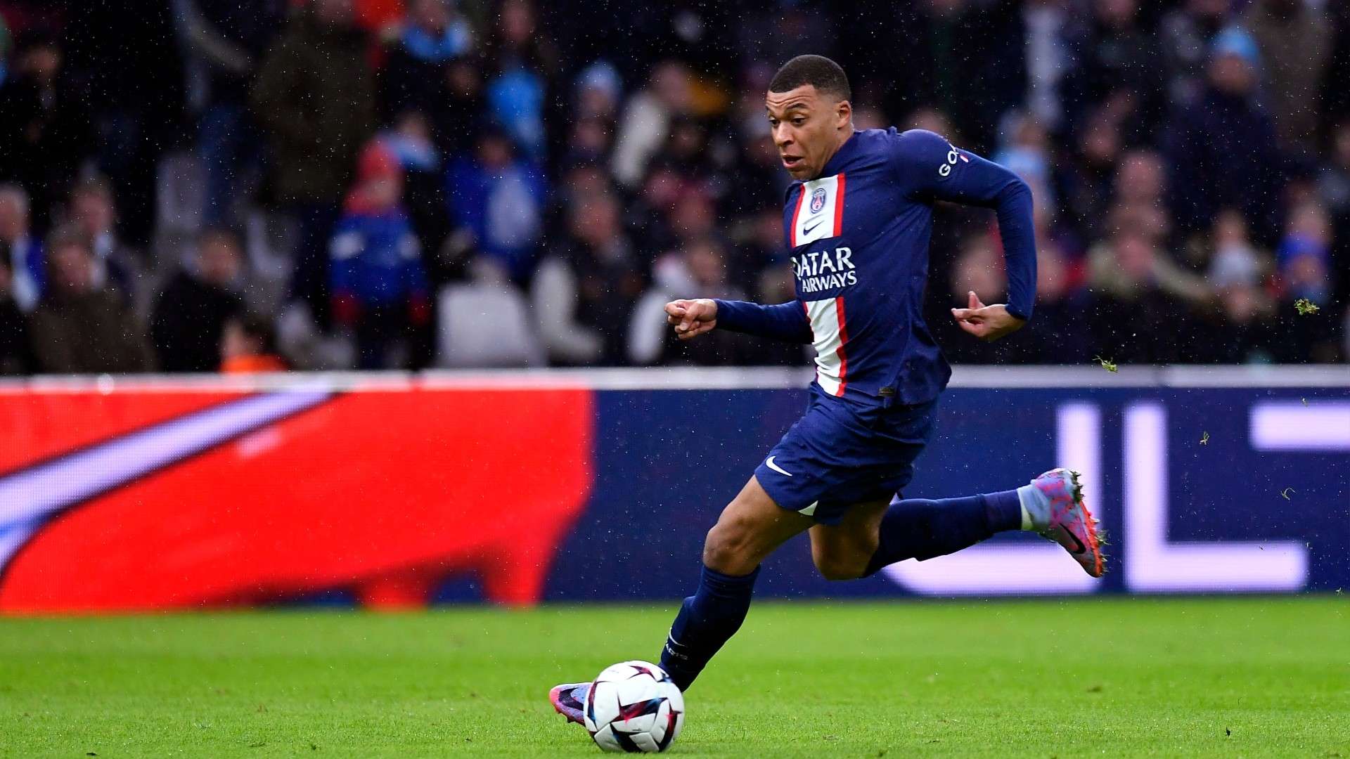 我们看到了 我们看到了